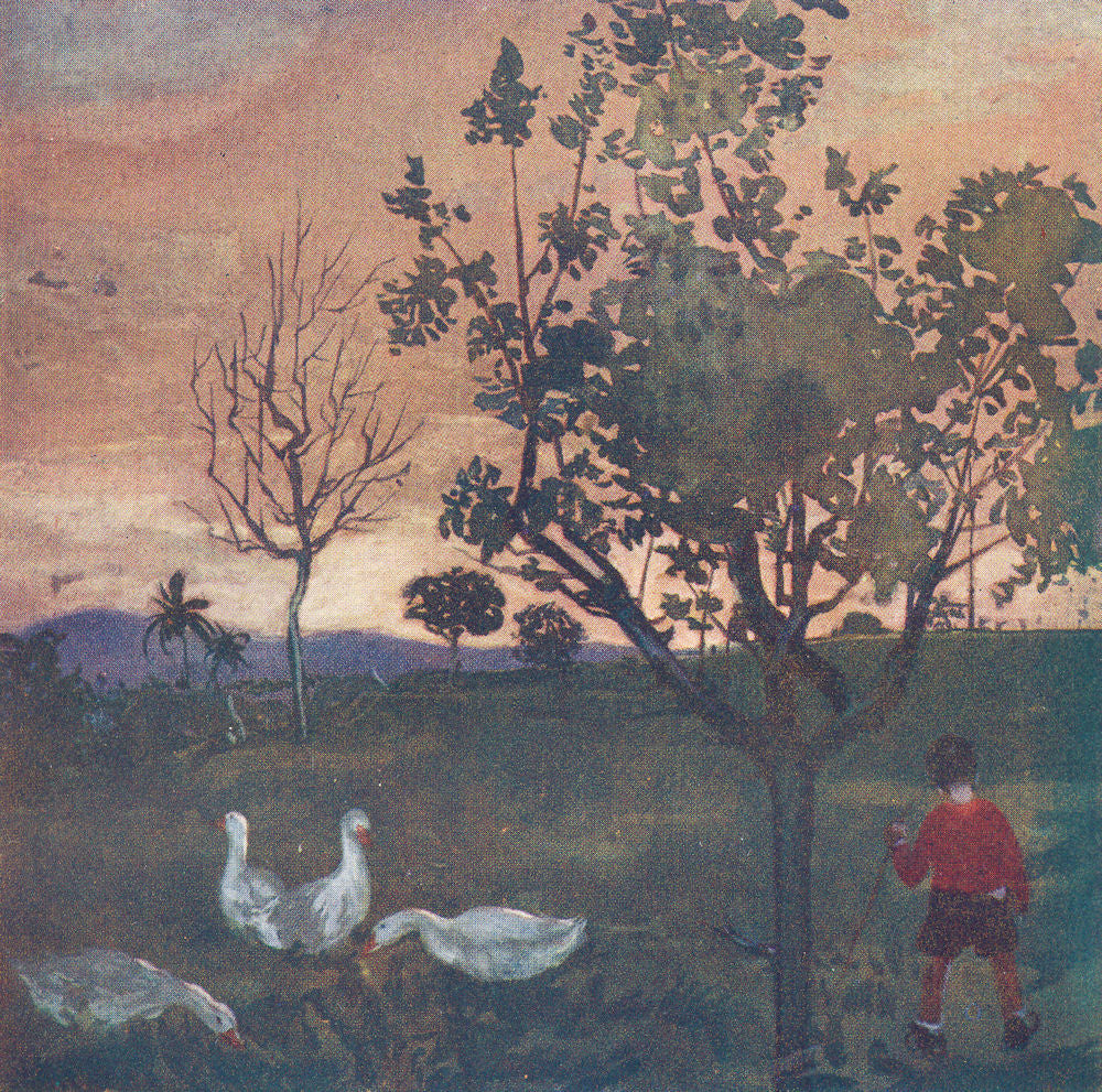 BRAZIL. A Landscape in the State of Rio Grande 1908 old antique print picture